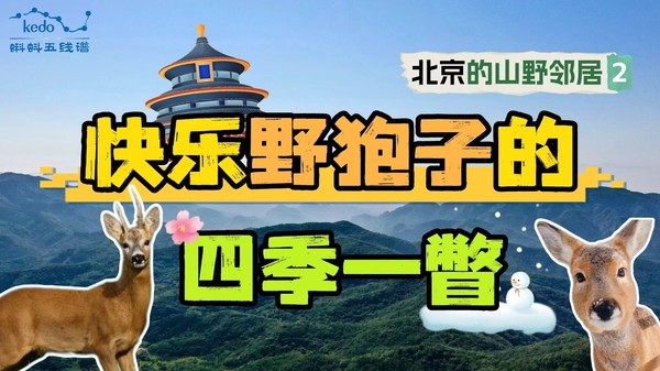 视频缩略图