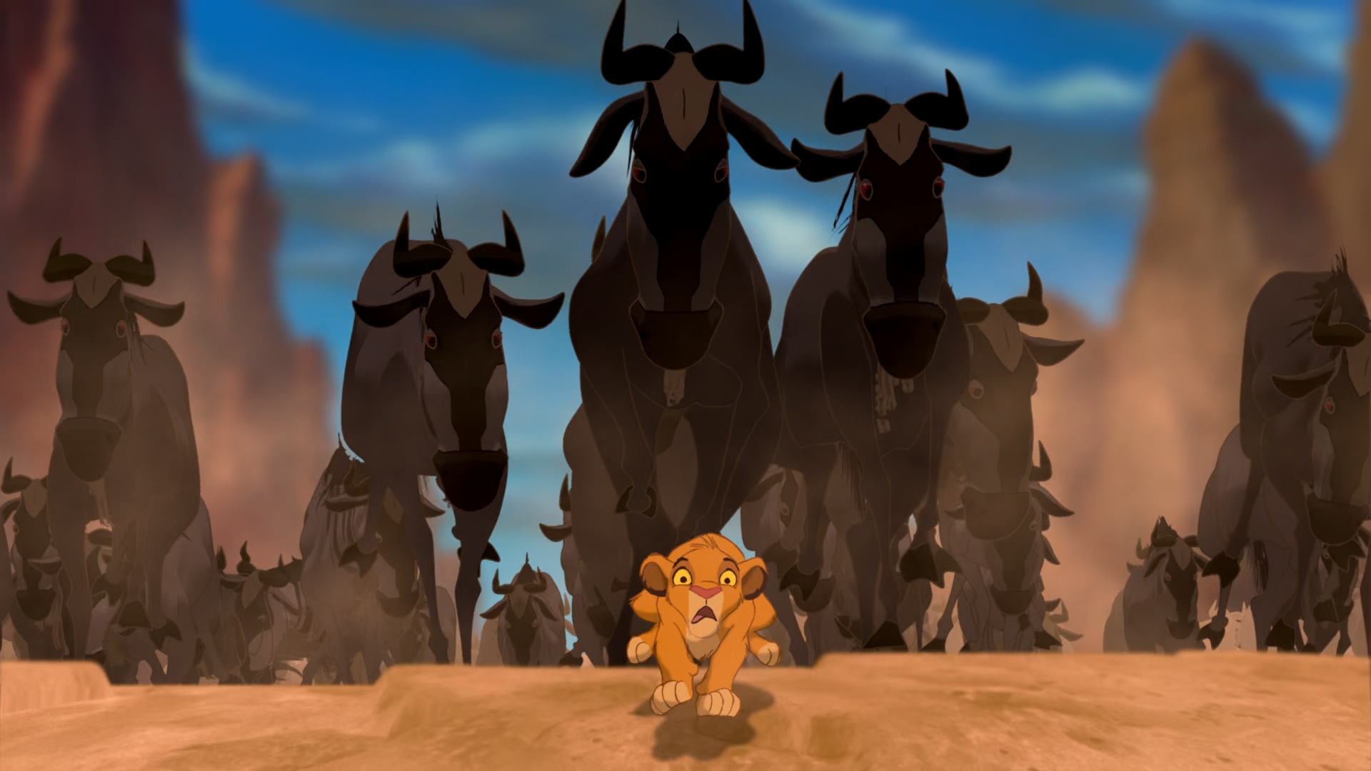 辛巴被角马追逐