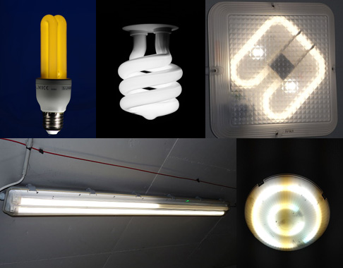 各种各样的荧光灯管