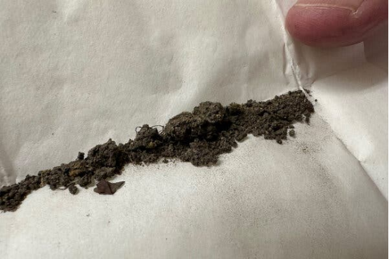留存在菲尔德博物馆中的苔藓和土壤样本