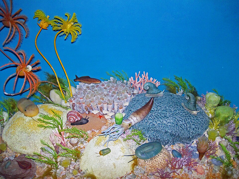 志留纪时期古海底生物的重建模型