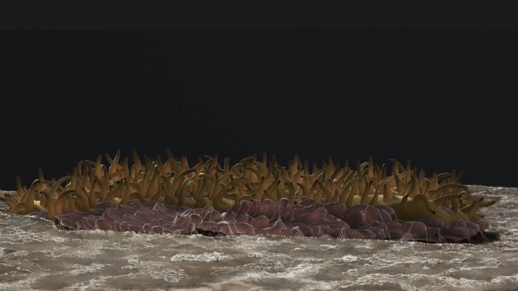 这张插图展示了地球上最早的动物之一可能的样子——这是一种新发现的类海绵生物，因其多刺的外观而以一位朋克摇滚歌手的名字命名。