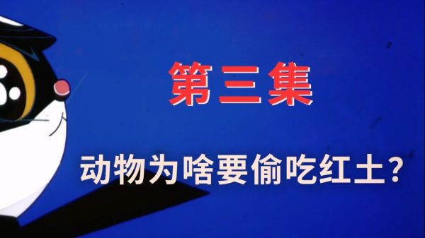 视频缩略图