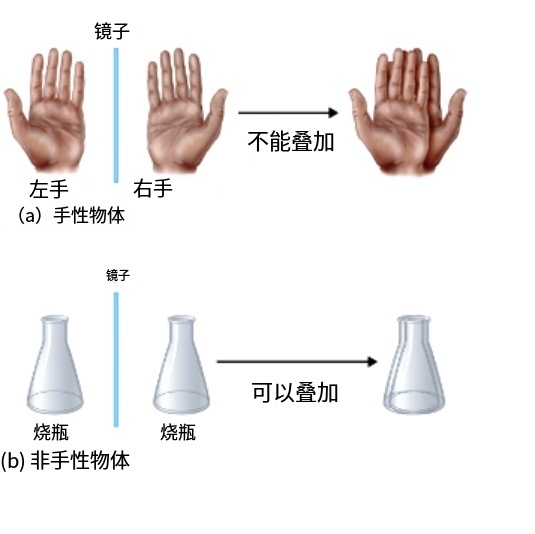 手性物体与非手性物体示意图。