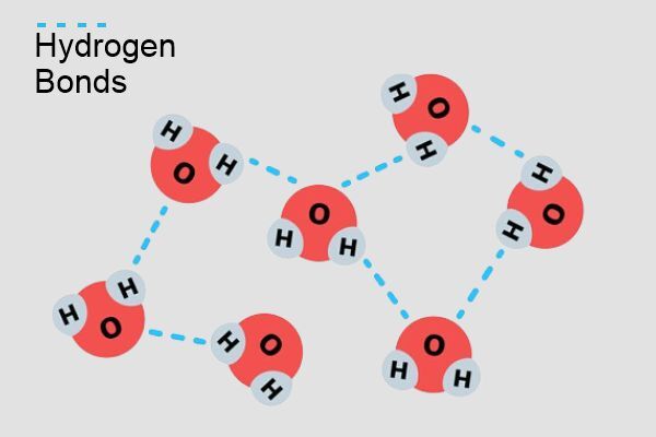 固态水分子之间的氢键