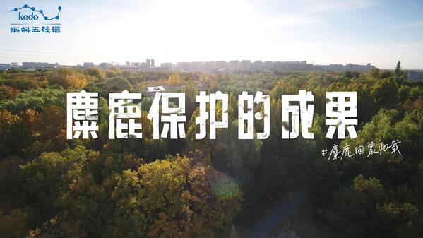 视频缩略图